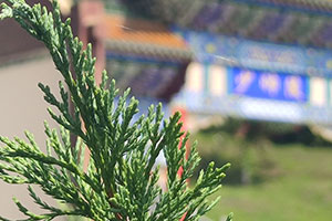 北京墓園網(wǎng)
