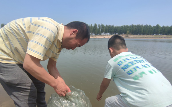 端午放生活動(dòng)，讓生命回歸自然，極樂(lè )殯葬網(wǎng)成為綠色殯葬時(shí)代的倡導者！